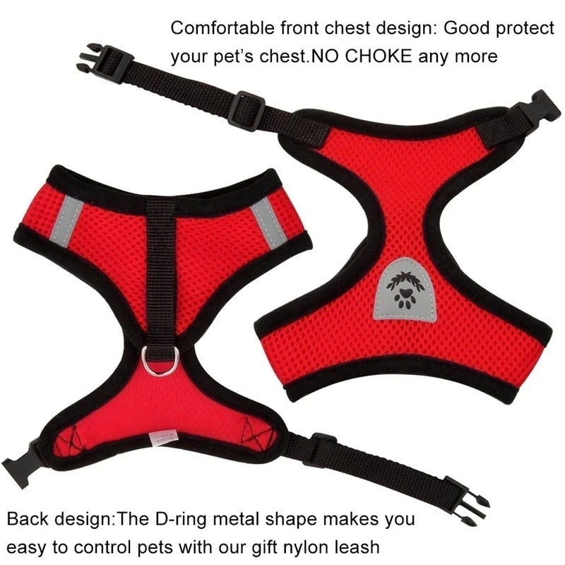 Comfort-Fit Harness Vest with Walking Leash for Pets