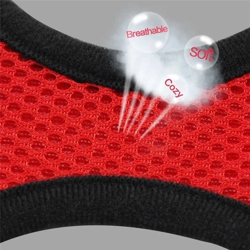 Comfort-Fit Harness Vest with Walking Leash for Pets