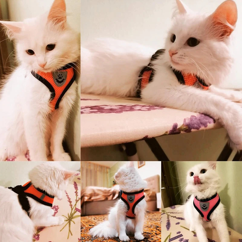 Comfort-Fit Harness Vest with Walking Leash for Pets