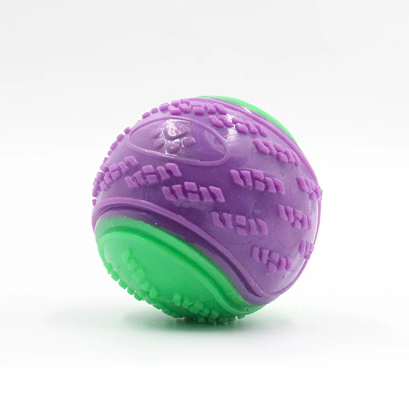 Interactive Squeaky Toy Ball for Pets