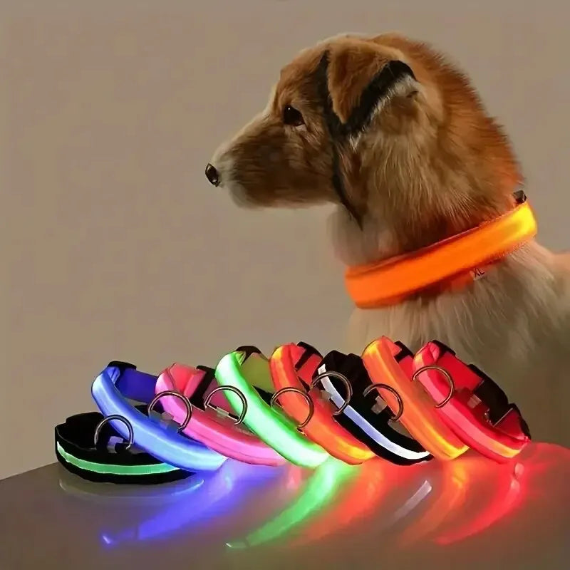Nylon LED Night Safety Leash and Collar