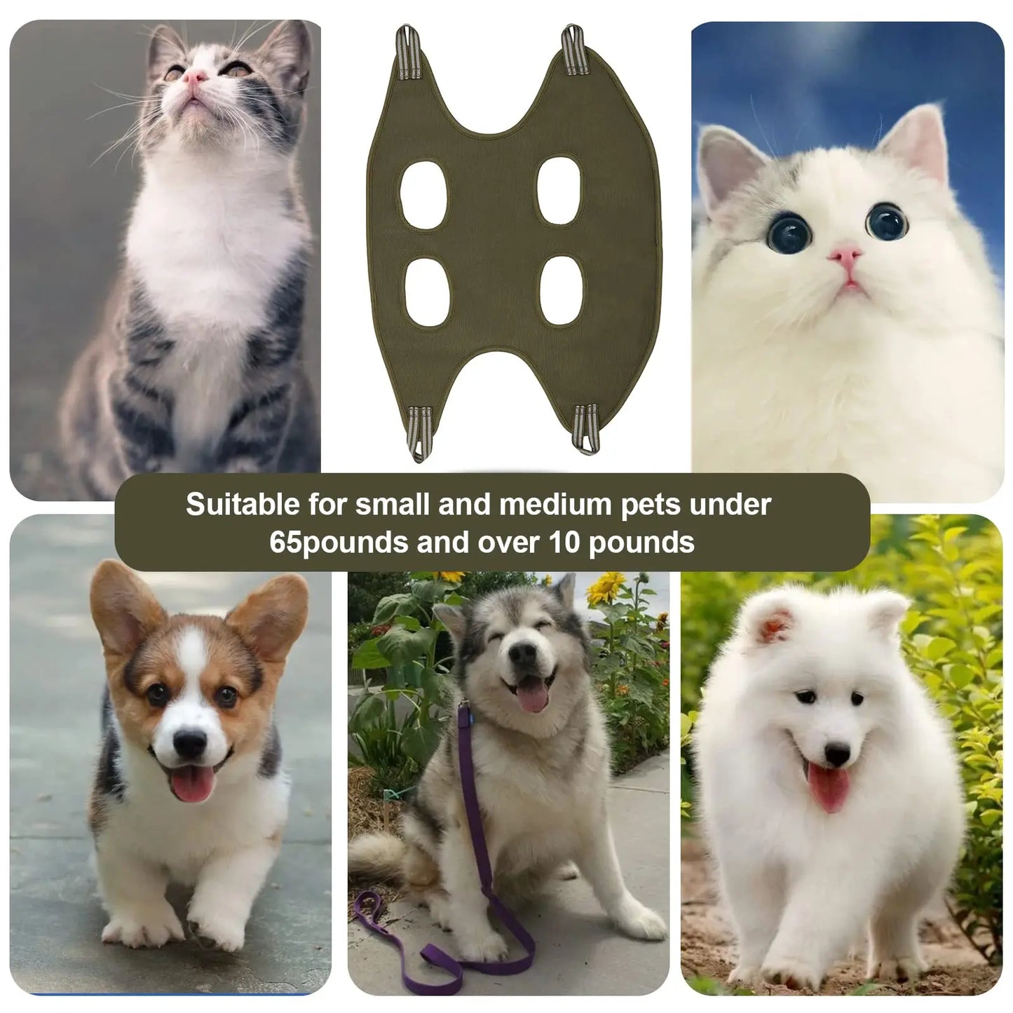 Multi-Purpose Pet Grooming Kit