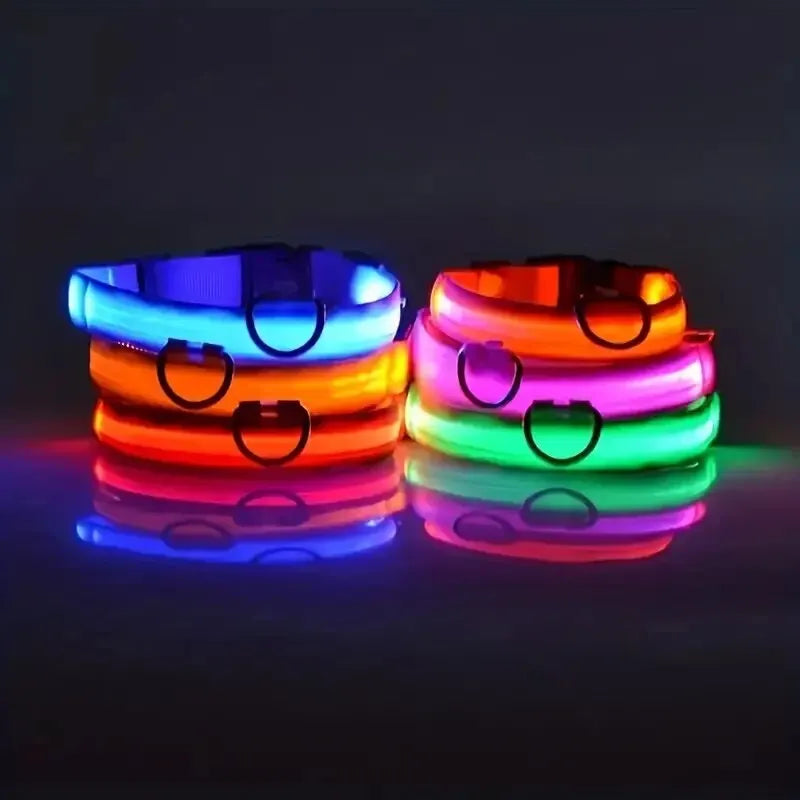 Nylon LED Night Safety Leash and Collar