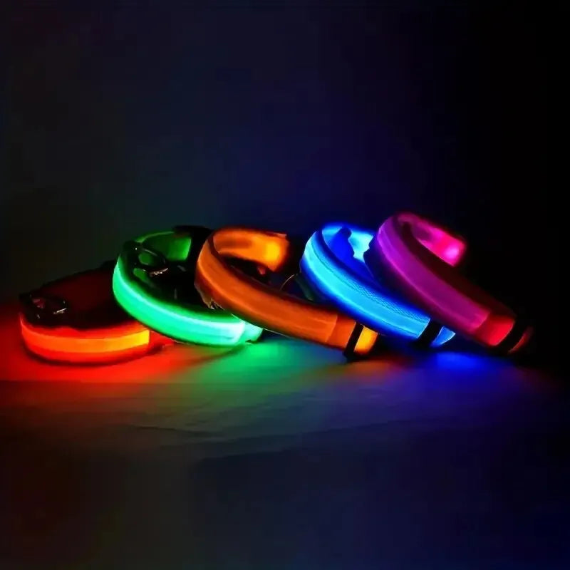 Nylon LED Night Safety Leash and Collar