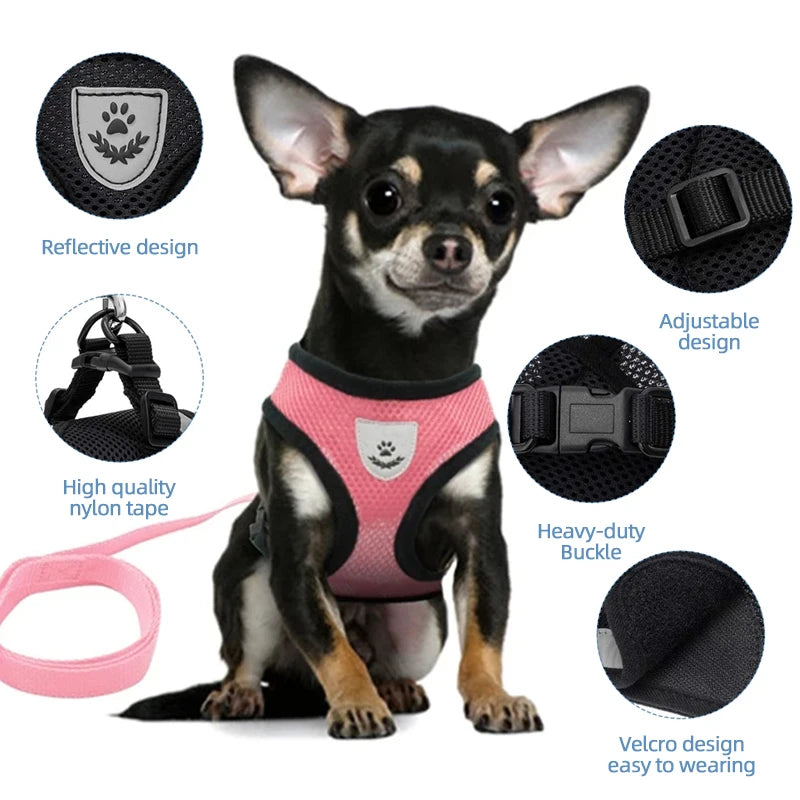 Comfort-Fit Harness Vest with Walking Leash for Pets