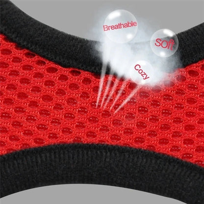 Comfort-Fit Harness Vest with Walking Leash for Pets
