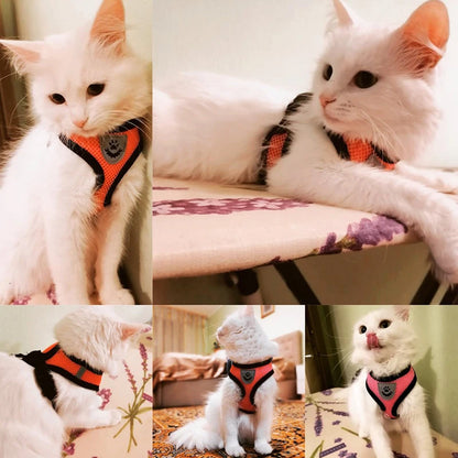 Comfort-Fit Harness Vest with Walking Leash for Pets