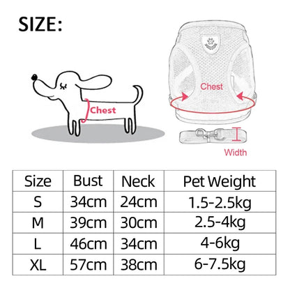 Comfort-Fit Harness Vest with Walking Leash for Pets