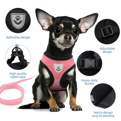 Comfort-Fit Harness Vest with Walking Leash for Pets